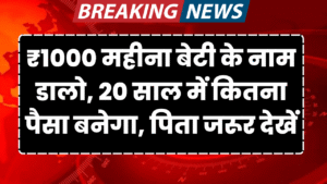 1 hajar ki sip se 20 sal me kitna bannega pita jarur dekhe