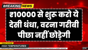 10 hajar lgakar shuru karo ye desi dhandha