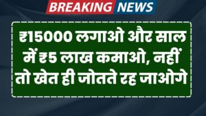15000 hajar lgao or sal me 5 lakh kamao