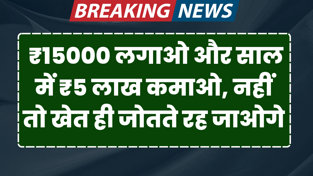 15000 hajar lgao or sal me 5 lakh kamao